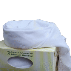 009fe7fe-25c6-4ff0-8ebf-e5c22ac00331