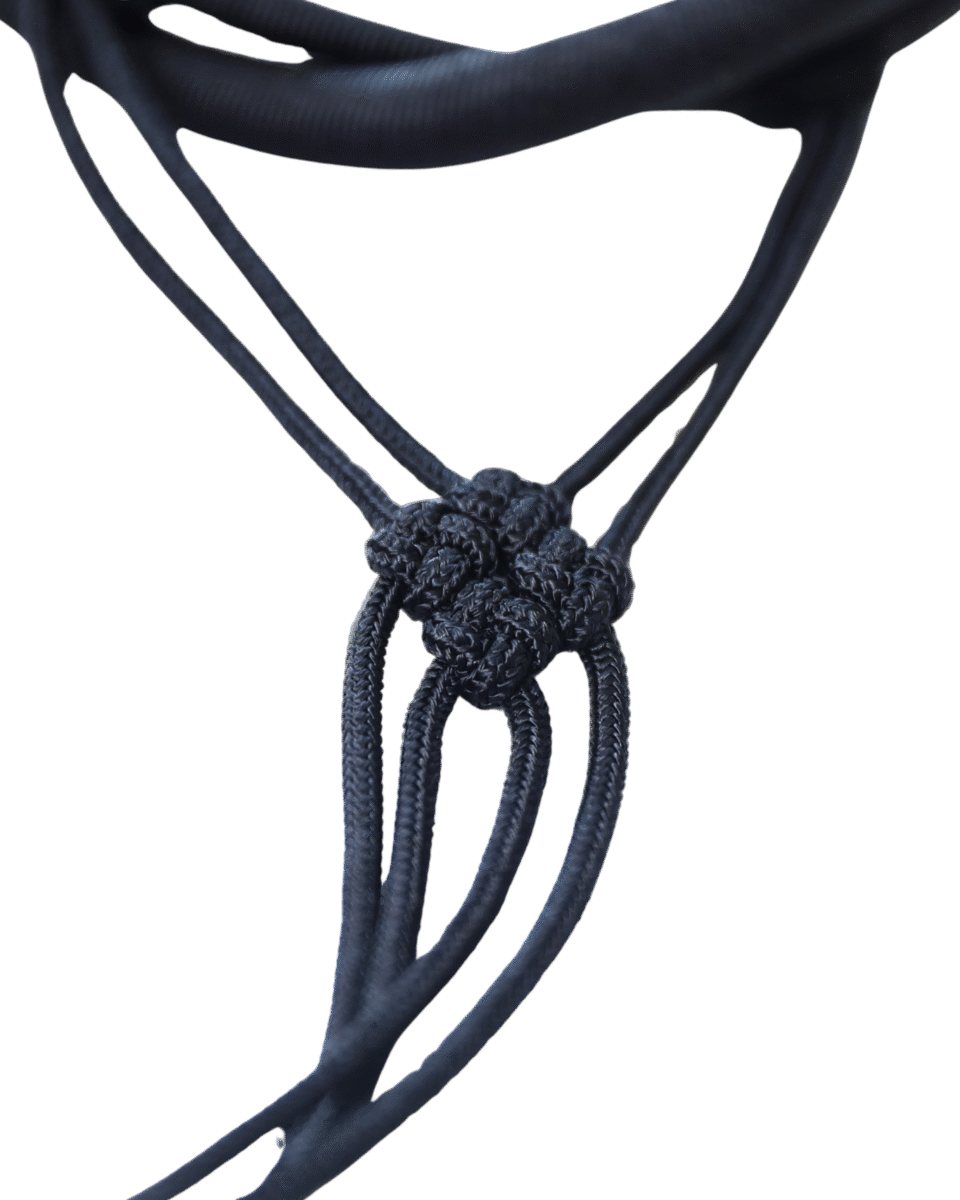 29e11db1-d801-401c-81db-8e4e93ed6342