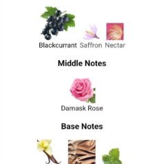 WhatsApp Image 2025-11-25 at 20.51.43