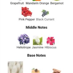 WhatsApp Image 2025-11-25 at 21.42.17