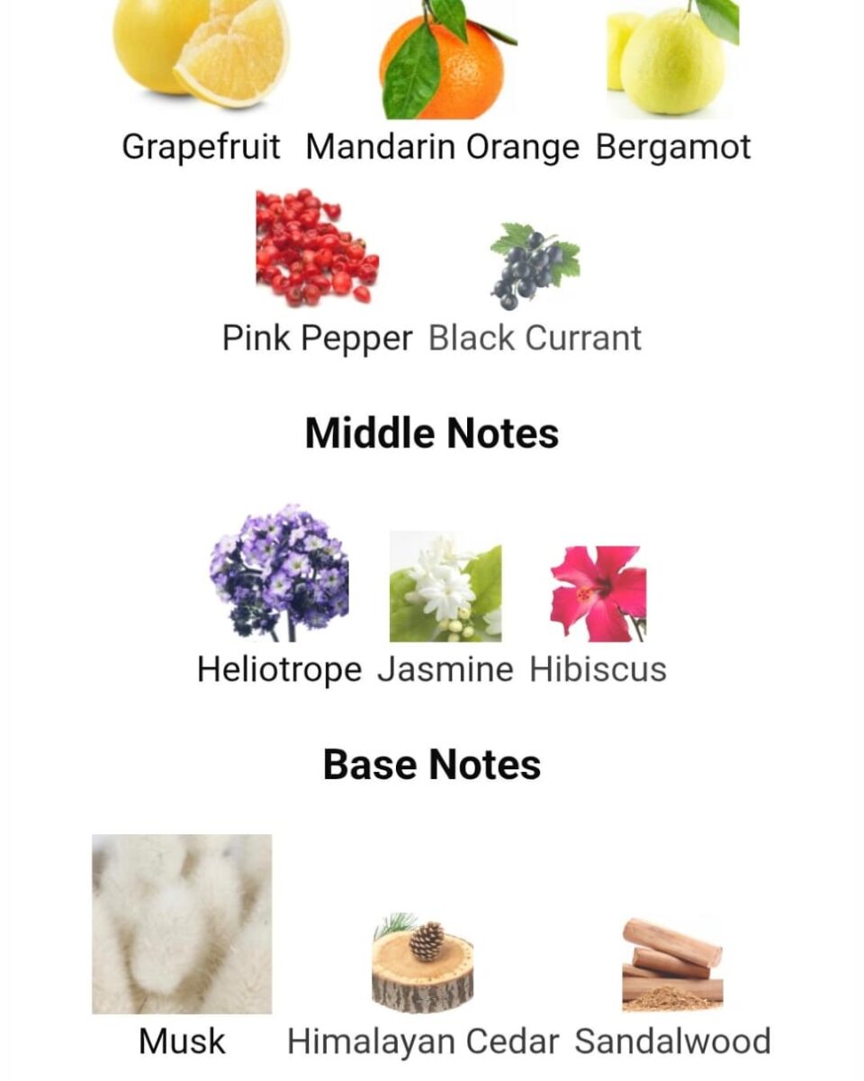 WhatsApp Image 2025-11-25 at 21.42.17