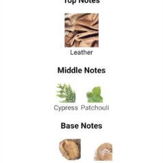 WhatsApp Image 2025-11-25 at 21.42.41