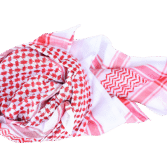 df253cae-8b49-4511-aa19-3d4d7ece3711