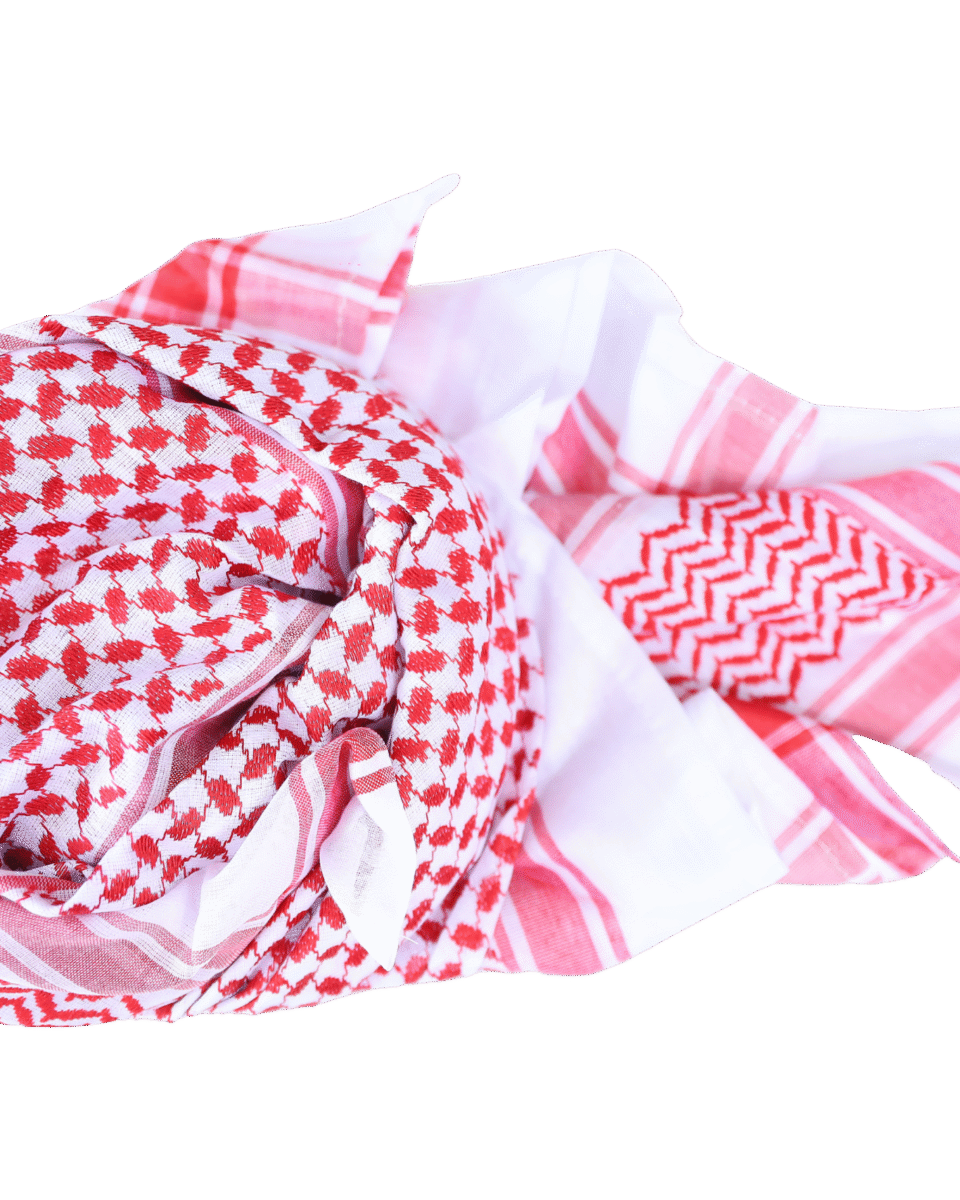 df253cae-8b49-4511-aa19-3d4d7ece3711